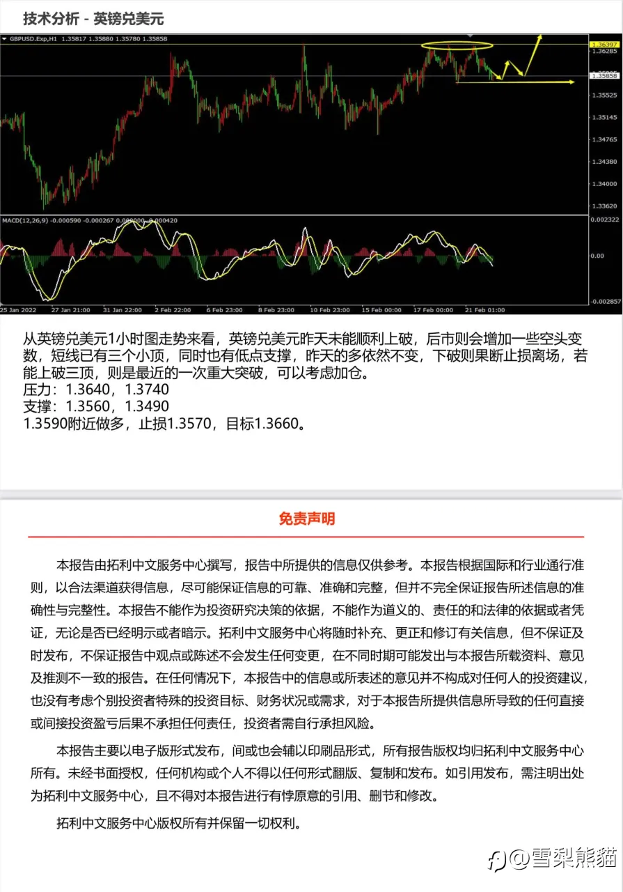 22/2拓利日报