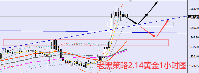 老黑策略：2.14黄金分析策略