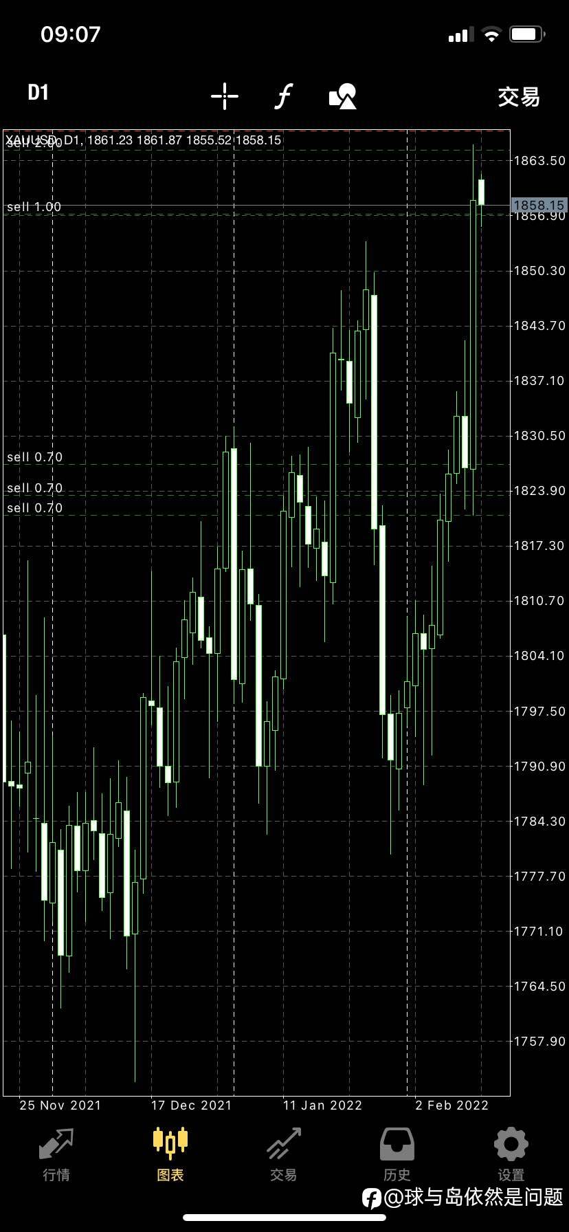 feed-image-1