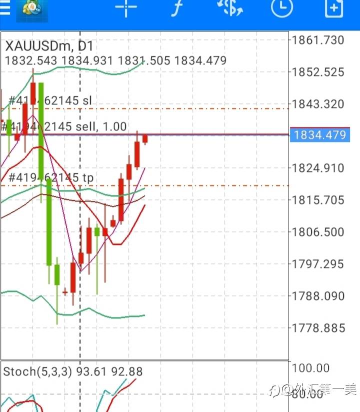 feed-image-1