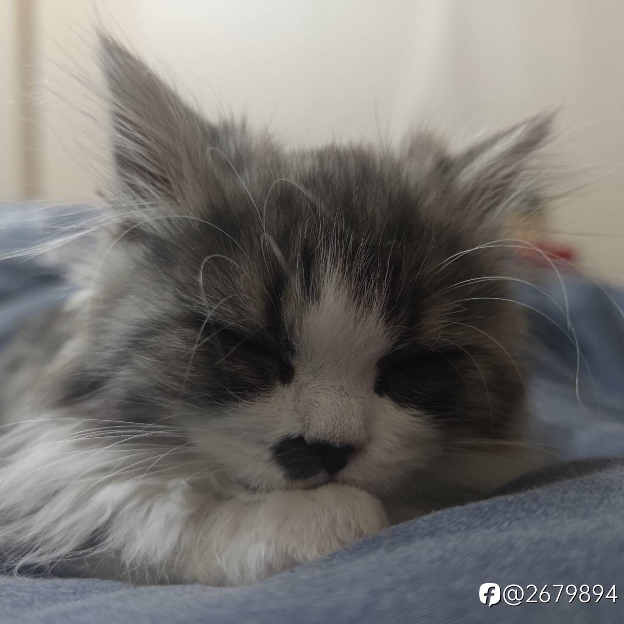 feed image