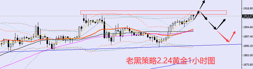 老黑策略:2.24黄金分析策略