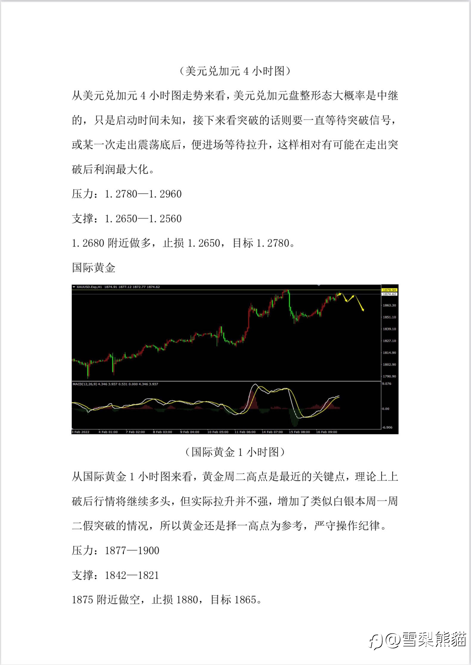 17/2拓利汇评