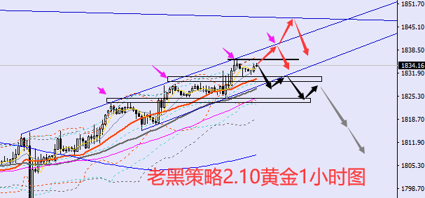 老黑策略：2.10黄金分析策略