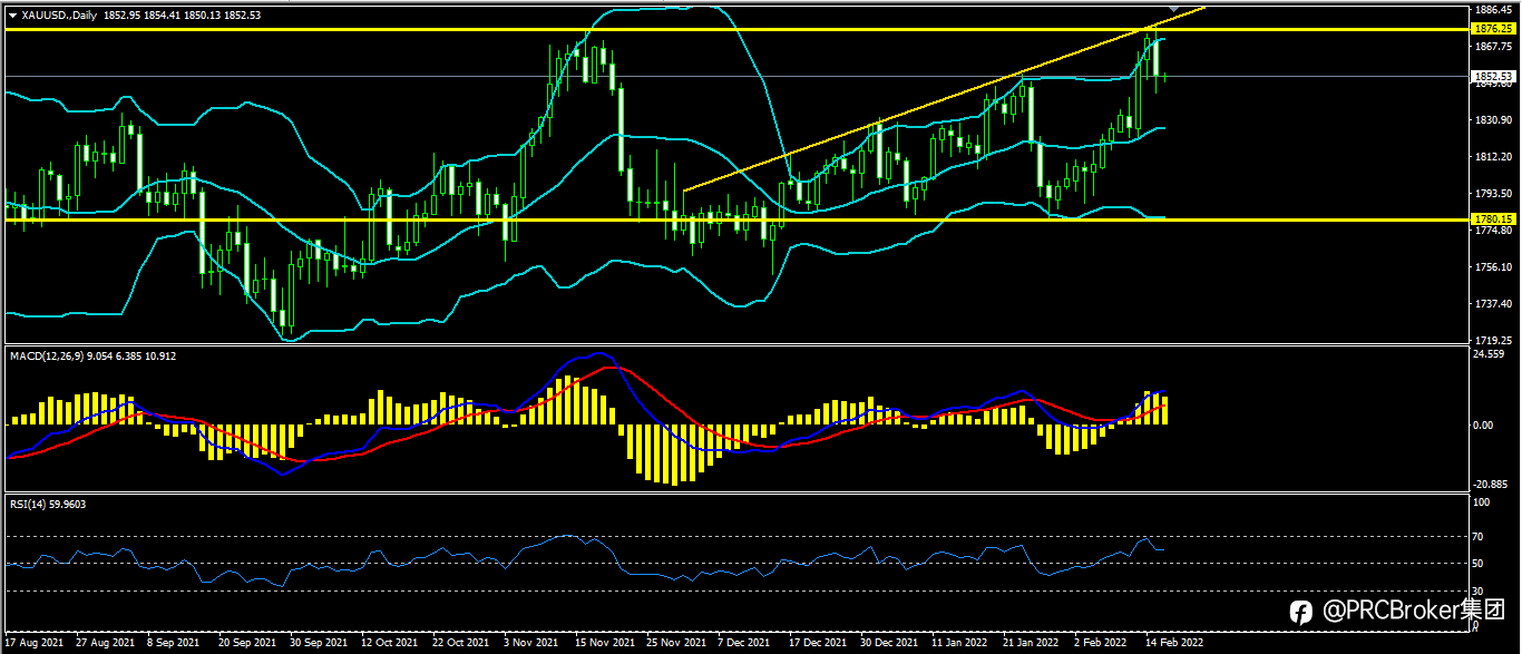 PRCBroker：20220216 今日汇评