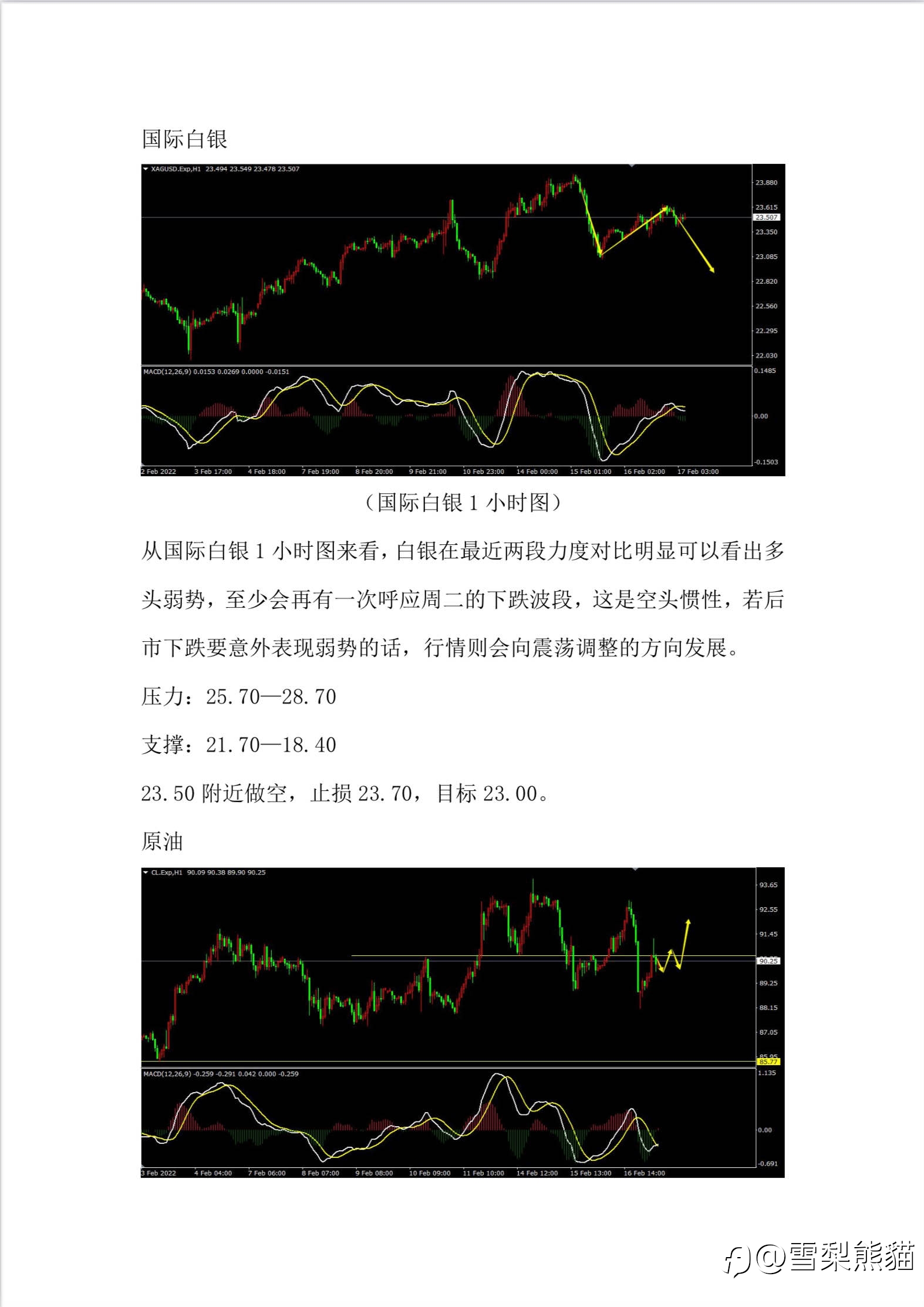 17/2拓利汇评
