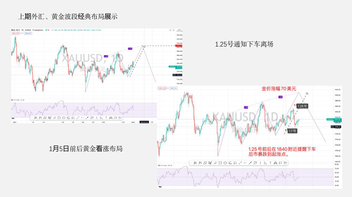 金市大鲤:2022年第二期月交易布局