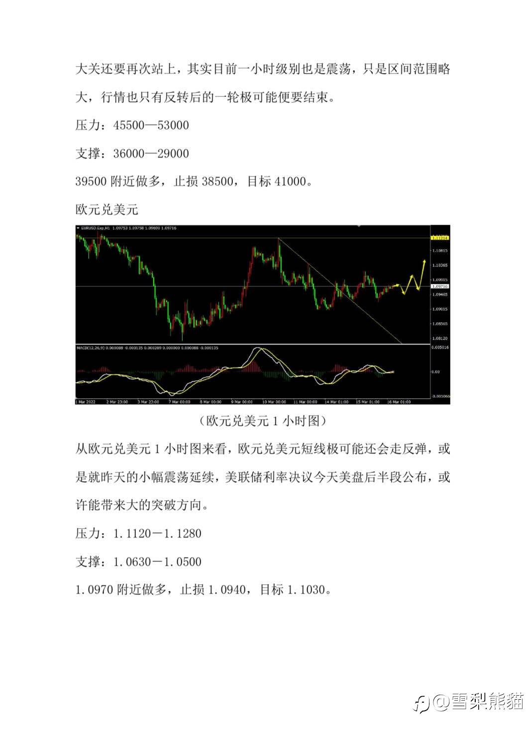 16/3拓利汇评