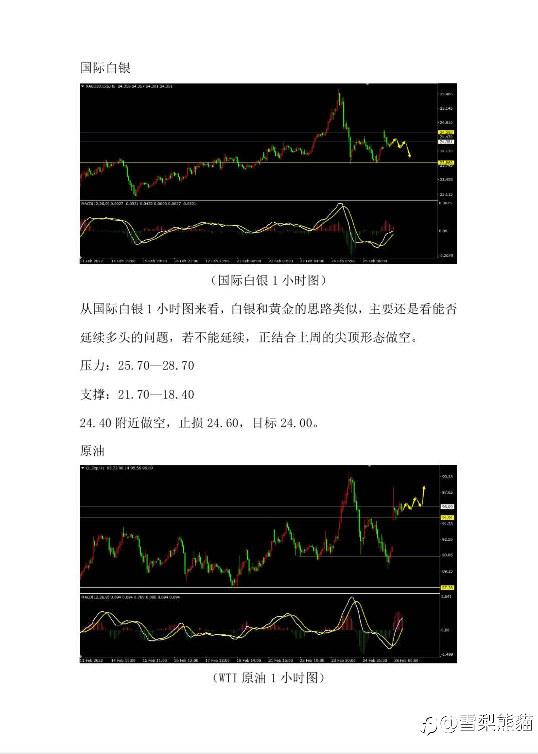 1/3拓利汇评