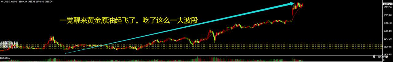 feed-image-1