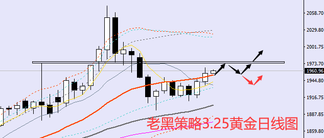 老黑策略:3.25外汇、黄金、原油分析策略