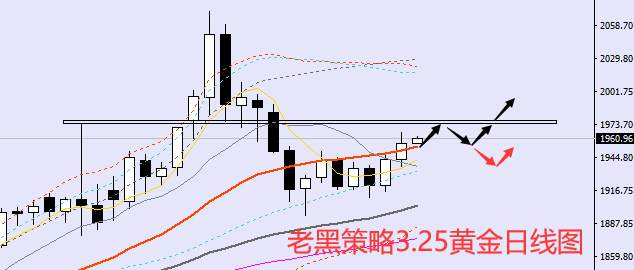 老黑策略：3.25外汇、黄金、原油分析策略