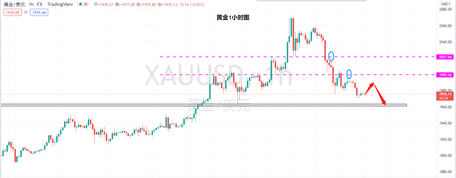 【Ex每日分析】：避险资金大量出逃黄金跳水显露空头迹象