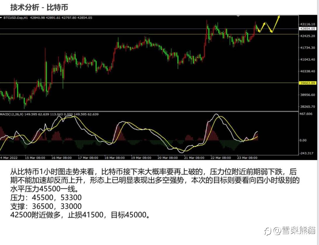 24/3拓利日报