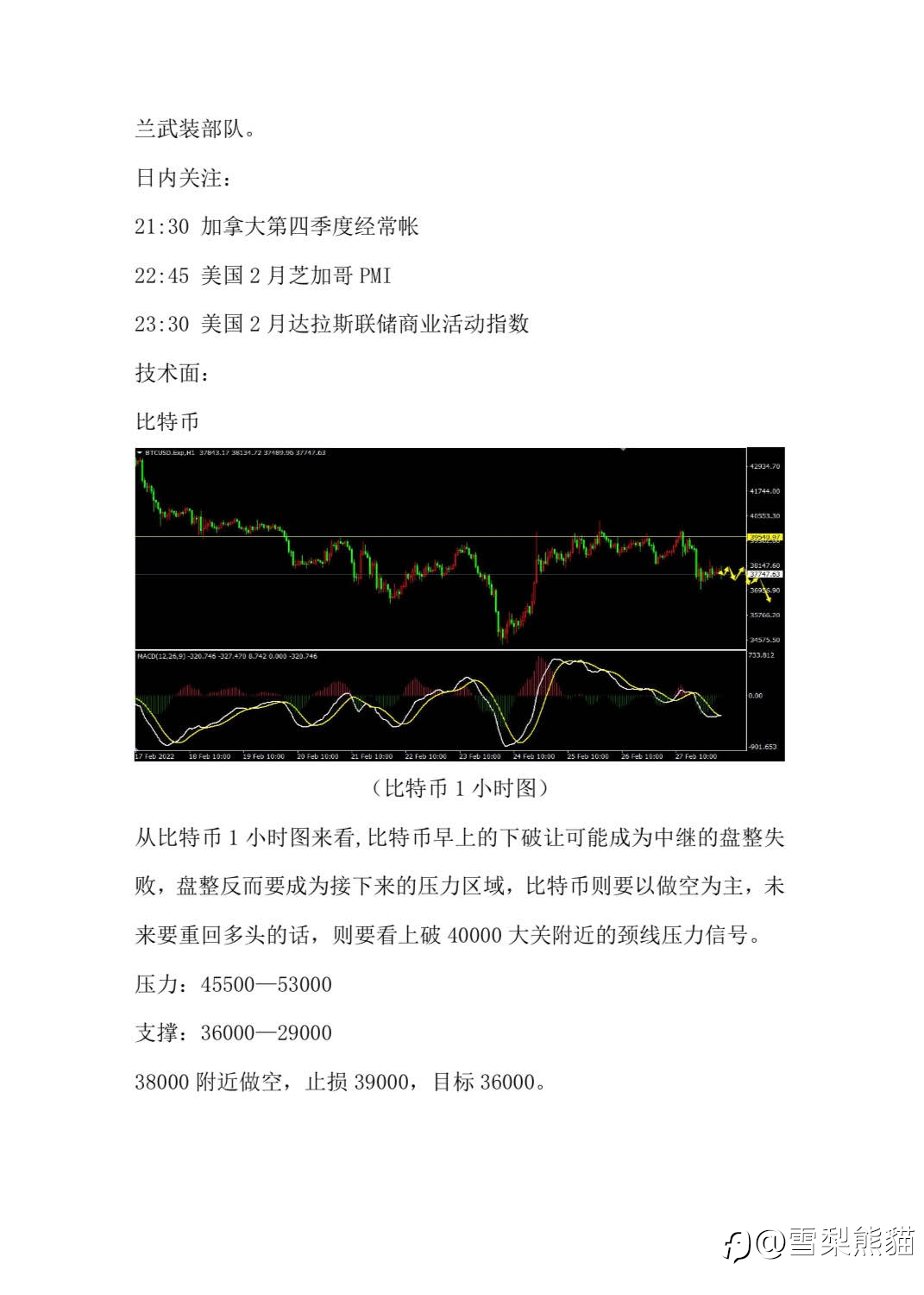 1/3拓利汇评