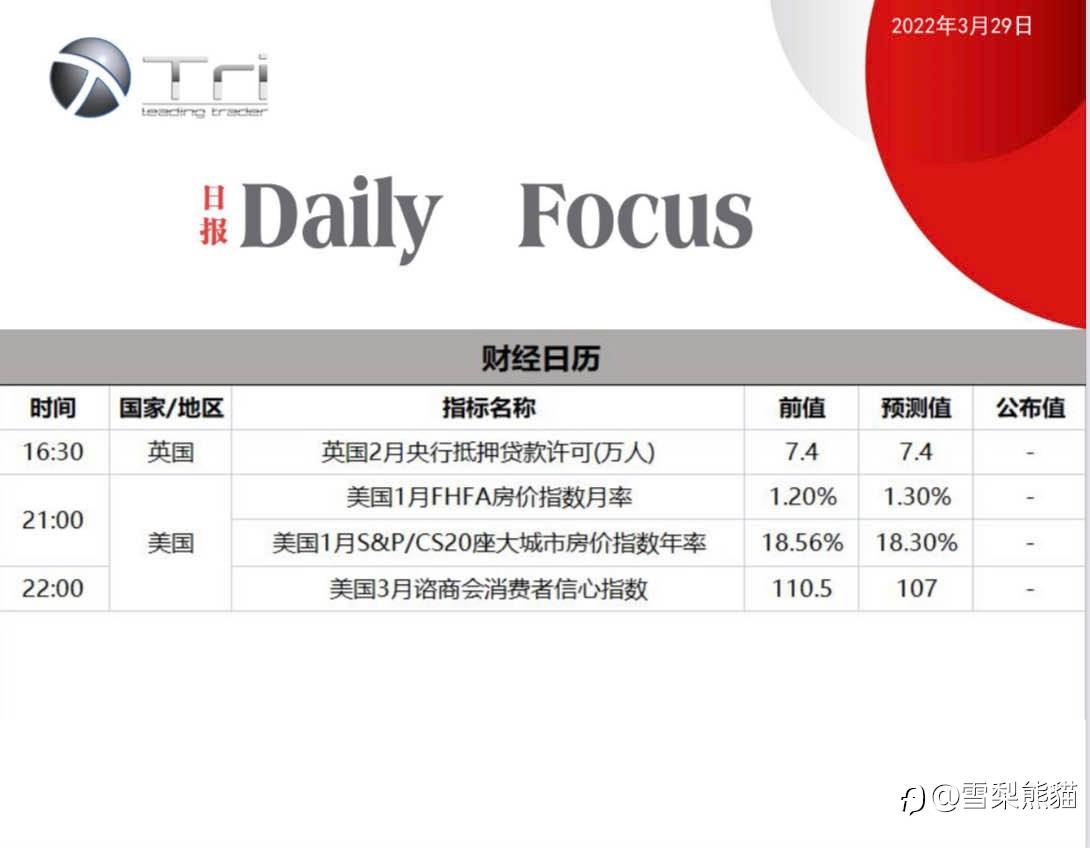29/3拓利日报