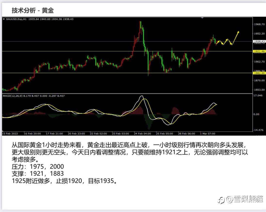 2/3拓利日报