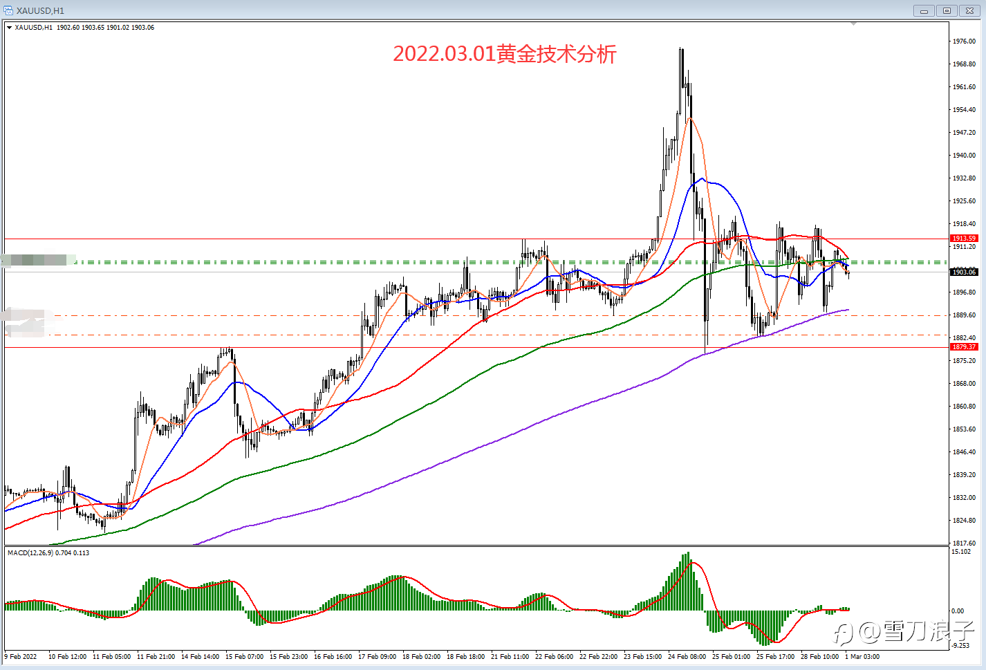 2022.03.01黄金技术分析