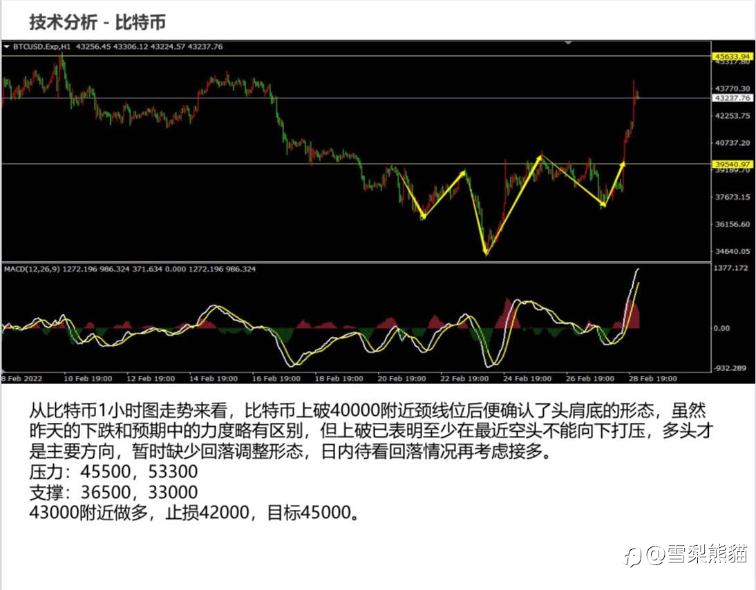 1/3拓利日报