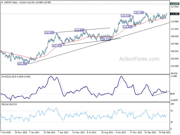 USD/JPY Daily Outlook