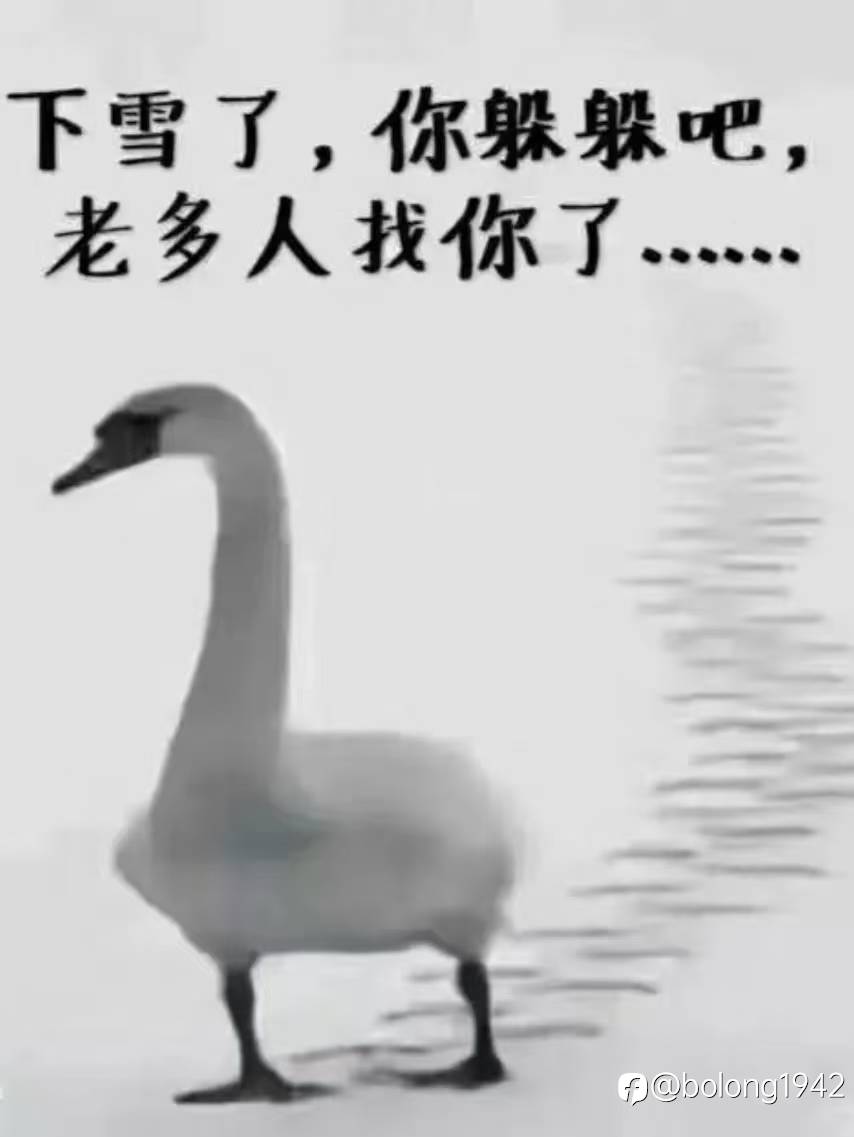 feed-image-3