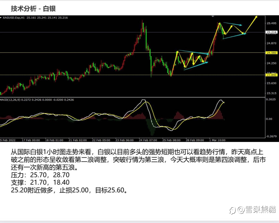 2/3拓利日报