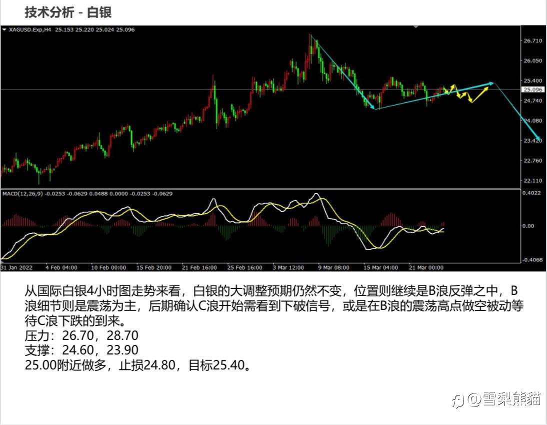 24/3拓利日报