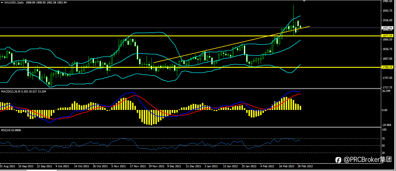 PRCBroker:20220301 今日汇评