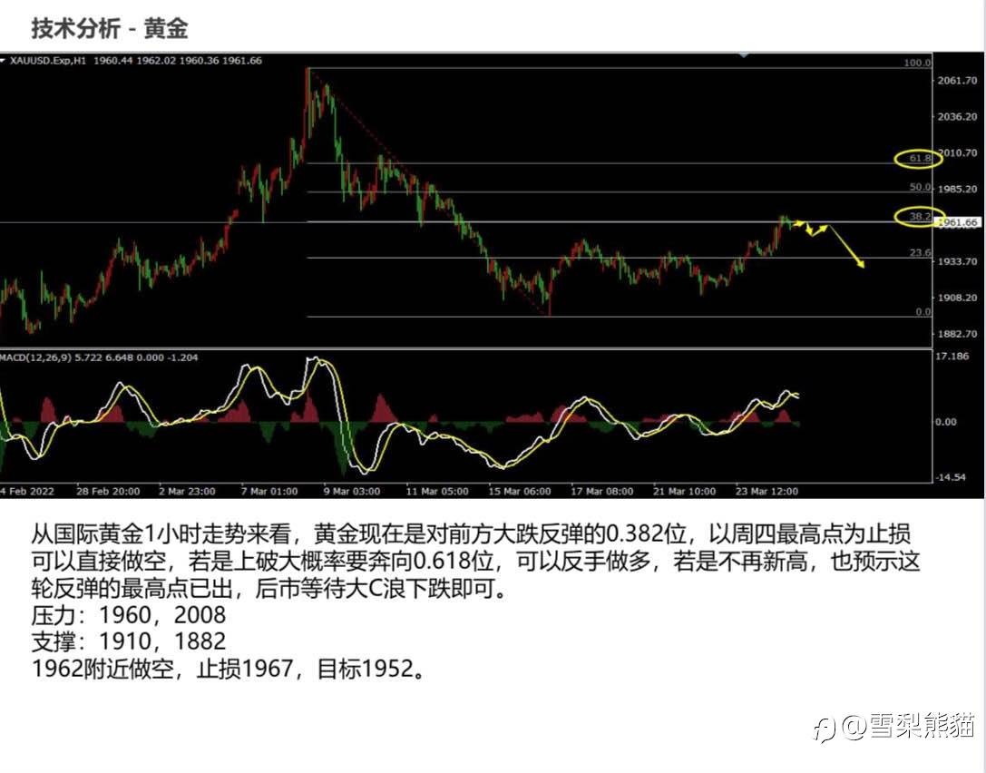 25/3拓利日报