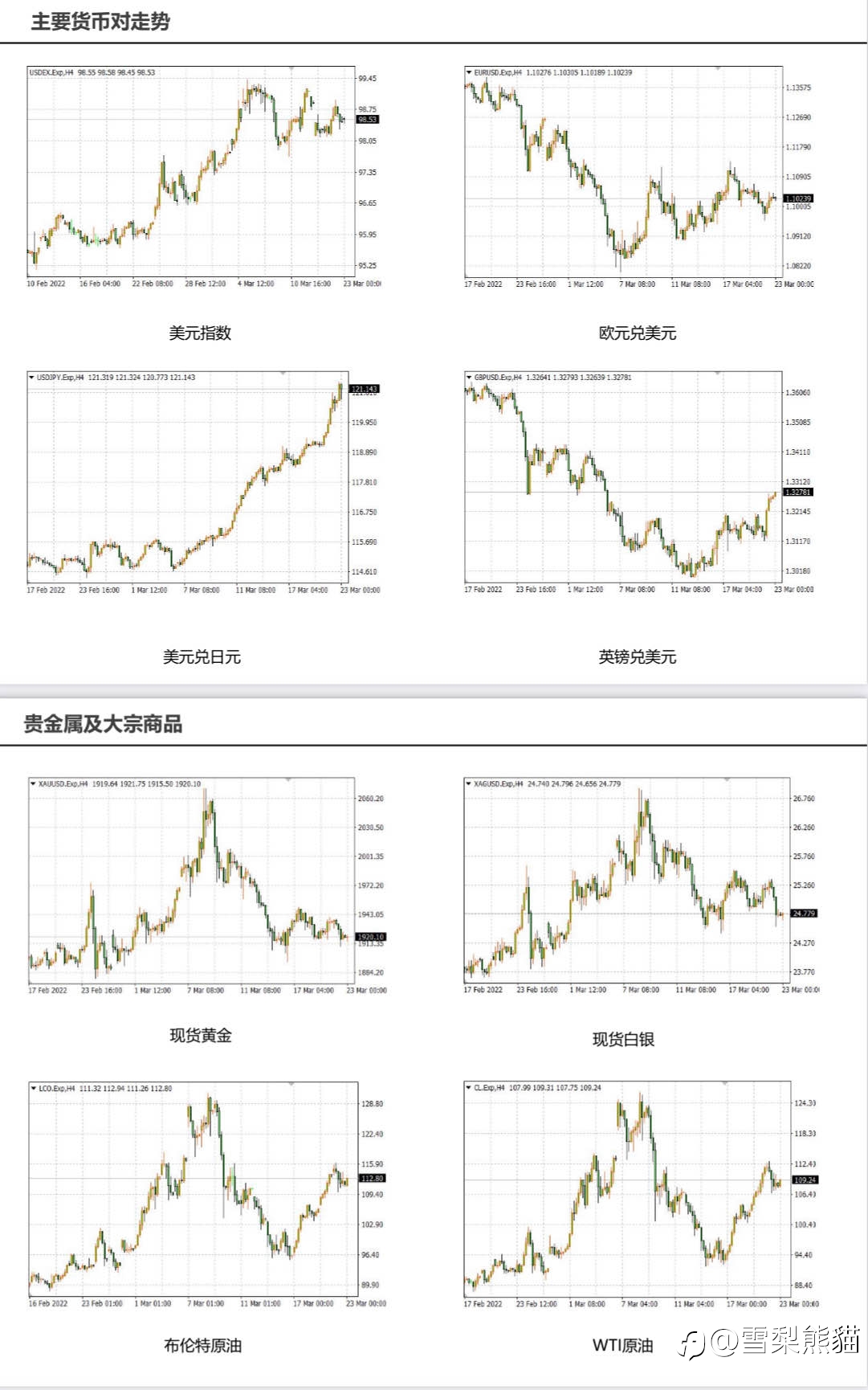 23/3拓利日报
