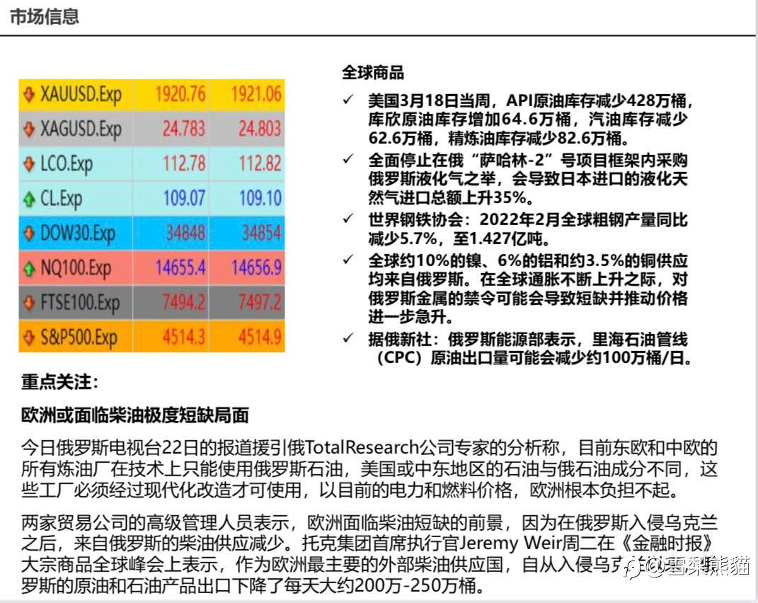 23/3拓利日报