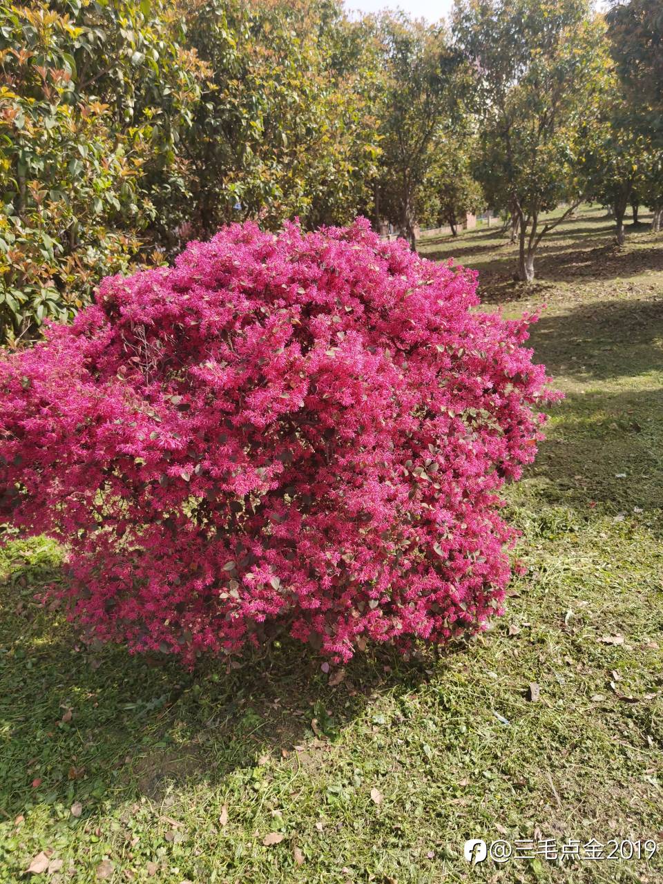 feed image