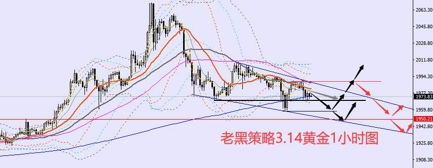 老黑策略：3.14外汇、黄金、原油分析策略