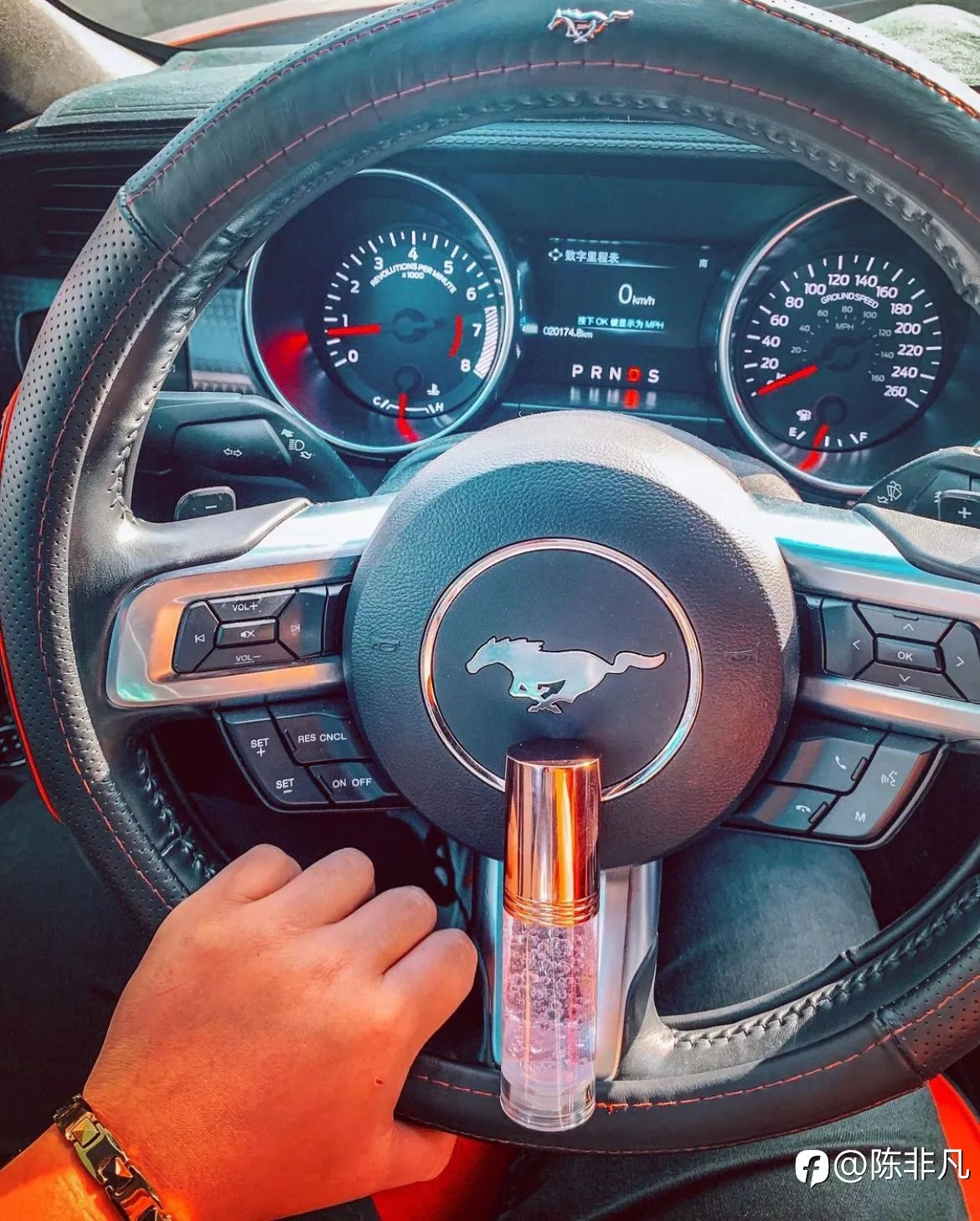 feed image