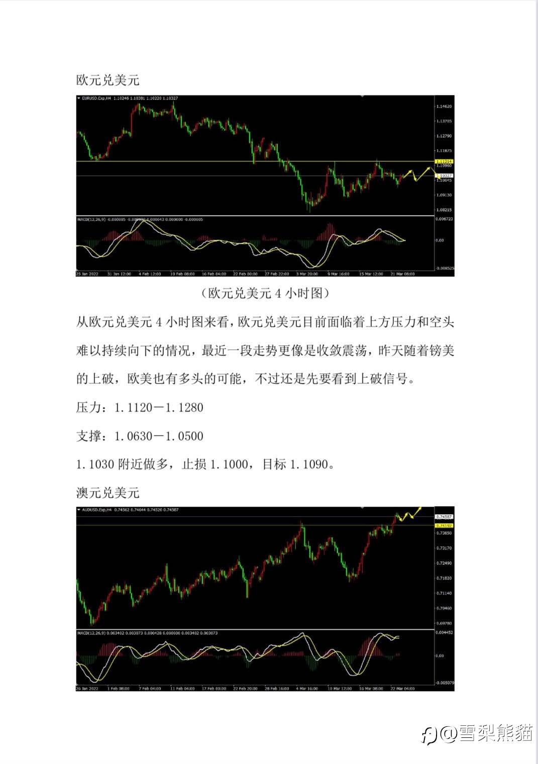 23/3拓利汇评