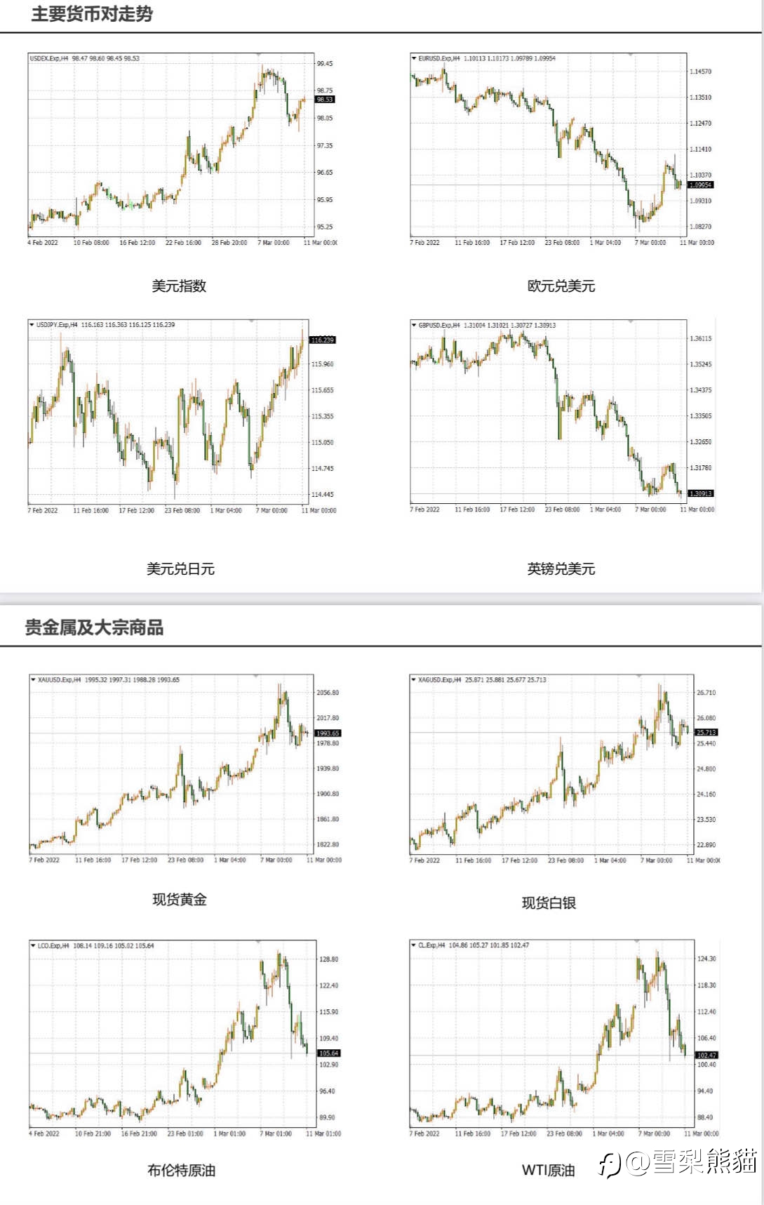 11/3拓利日报