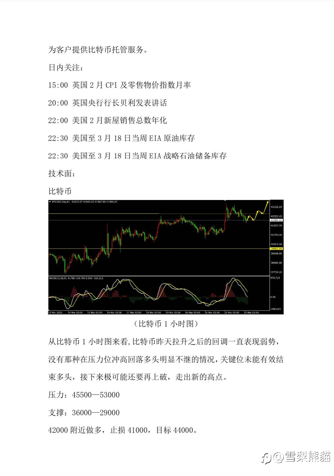 23/3拓利汇评