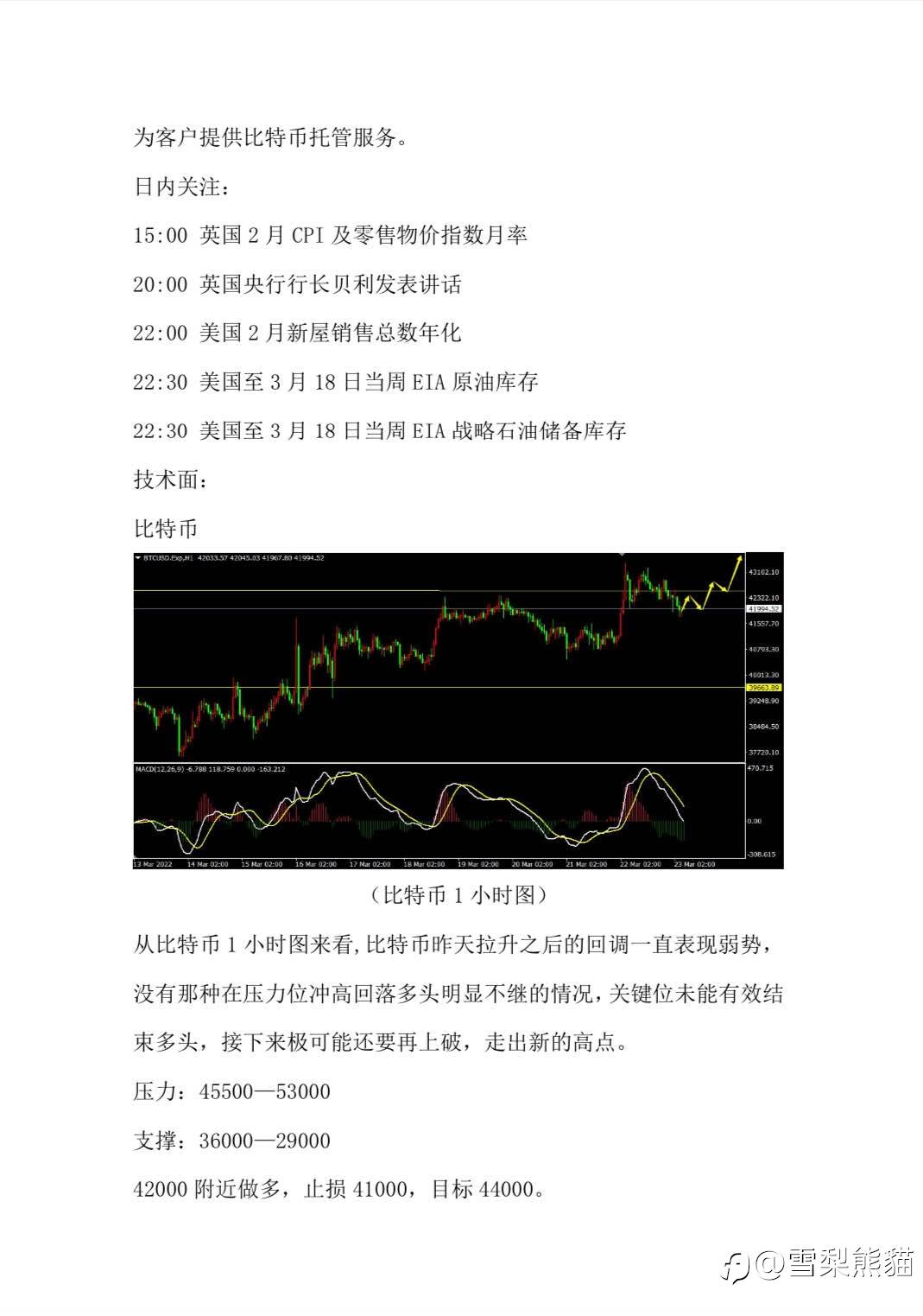 23/3拓利汇评
