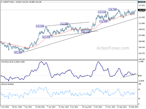 Euro Staying in Rebound ahead of ECB, Dollar Awaits CPI