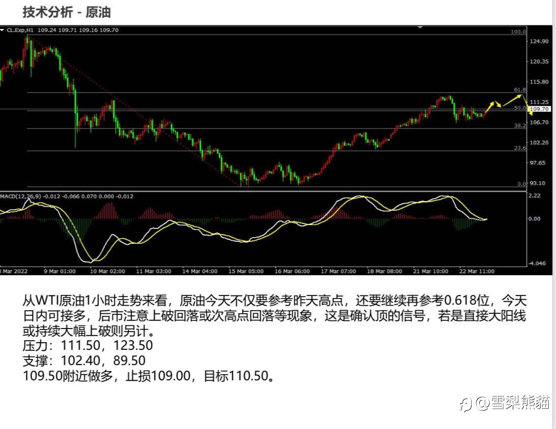 23/3拓利日报
