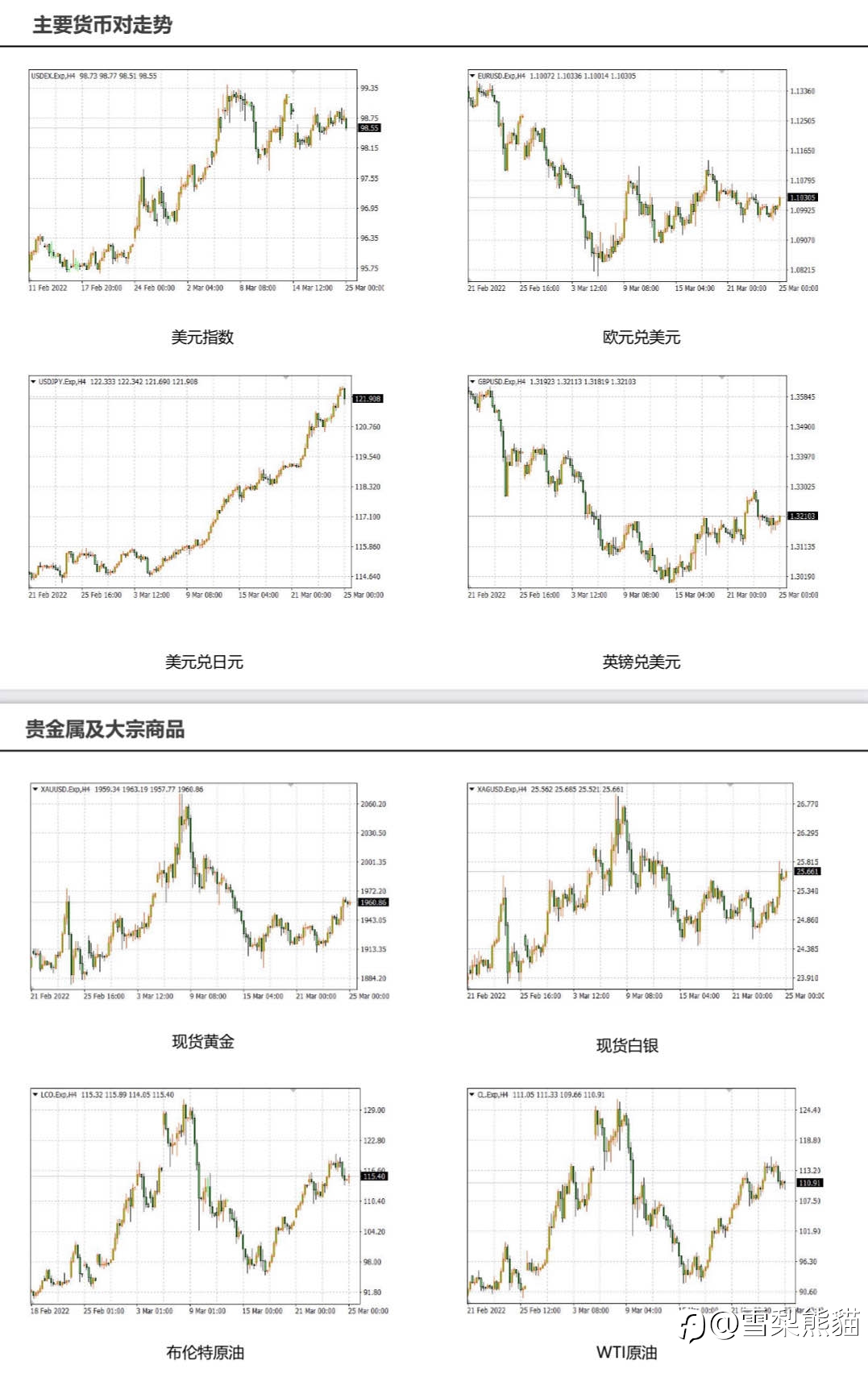 25/3拓利日报
