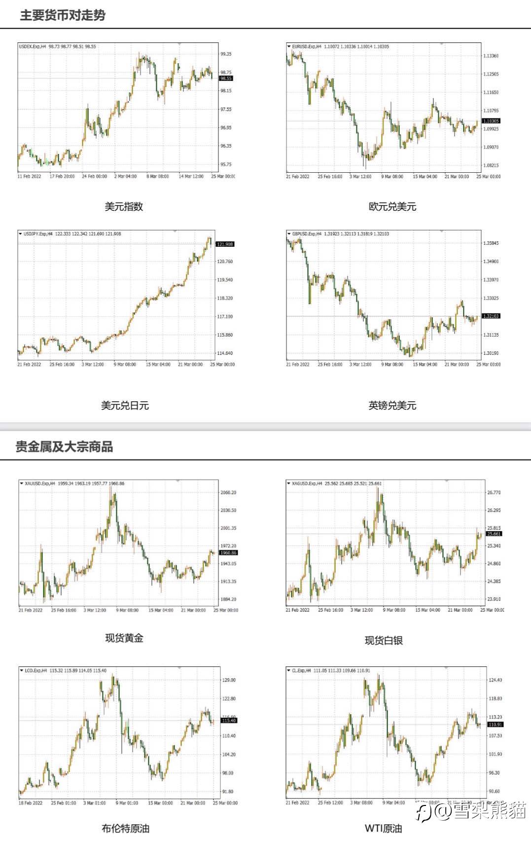 25/3拓利日报