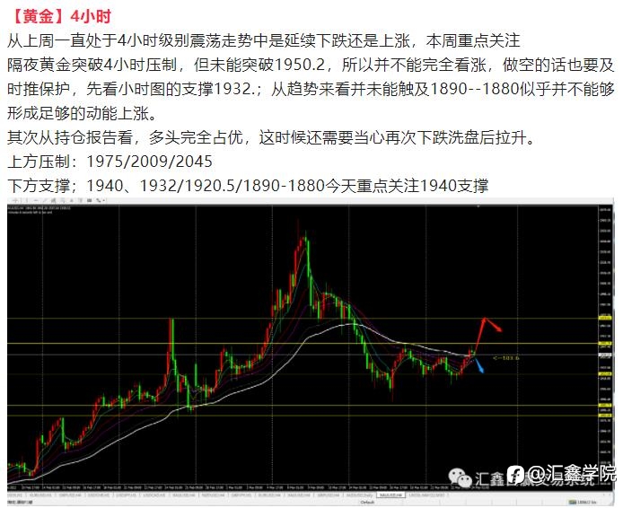每日操盘!