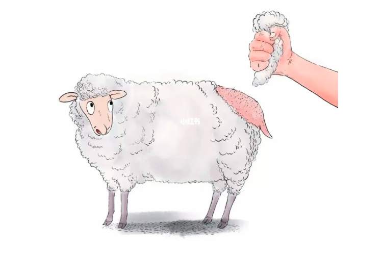 美联储利率决议加息到来，金价还能涨么？