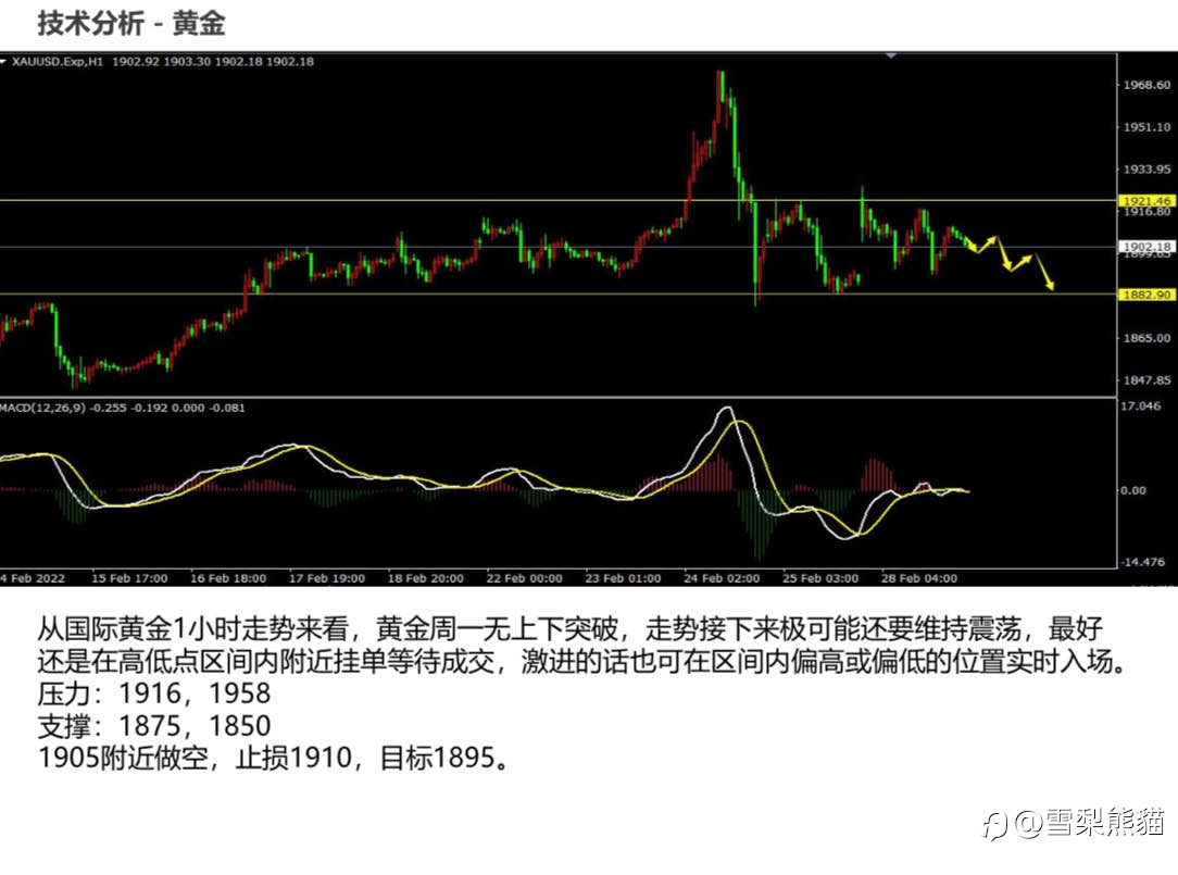1/3拓利日报
