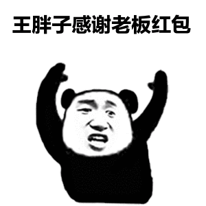 再次感谢组织，虽是个二等奖，金额比上次一等奖还高
