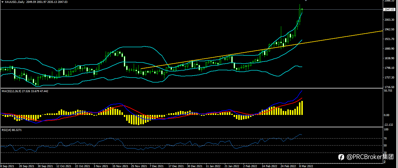 PRCBroker：20220309 今日汇评