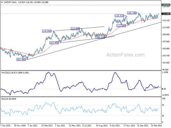 Euro Rebound Stalls after ECB, Dollar Higher after CPI