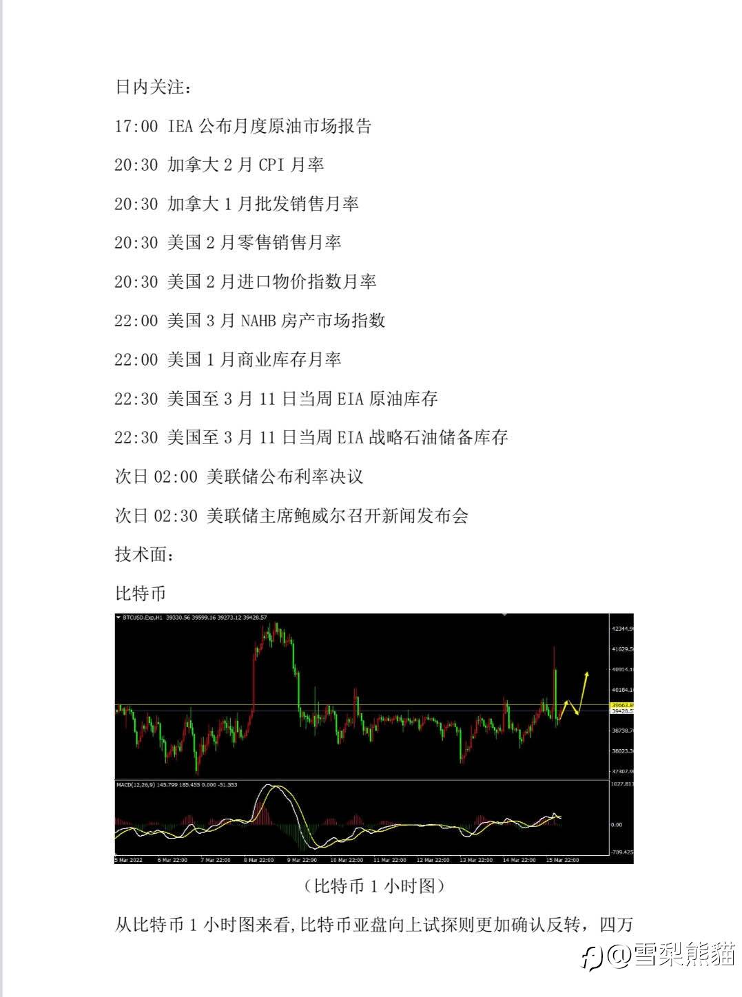 16/3拓利汇评