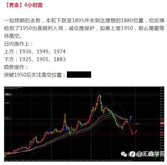 每日操盘！